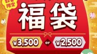 【2025年福袋】同額のチケット＋グッズ付『サーティワン福袋』2種類を販売 12月10日より予約開始