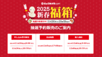 【2025年福袋】ビックカメラ福袋 全66商品『2025新春福箱』抽選予約の申し込みは11月20日～11月26日20:59まで