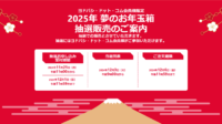 【2025年福袋】ヨドバシ 全58商品『2025年 夢のお年玉箱』抽選予約の申し込みは11月25日～12月1日23:59まで